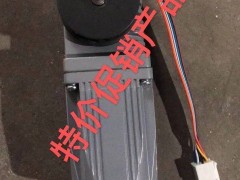 自動感應(yīng)門電機